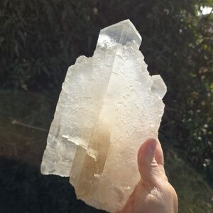 Selenite From Chihuahua Mexico